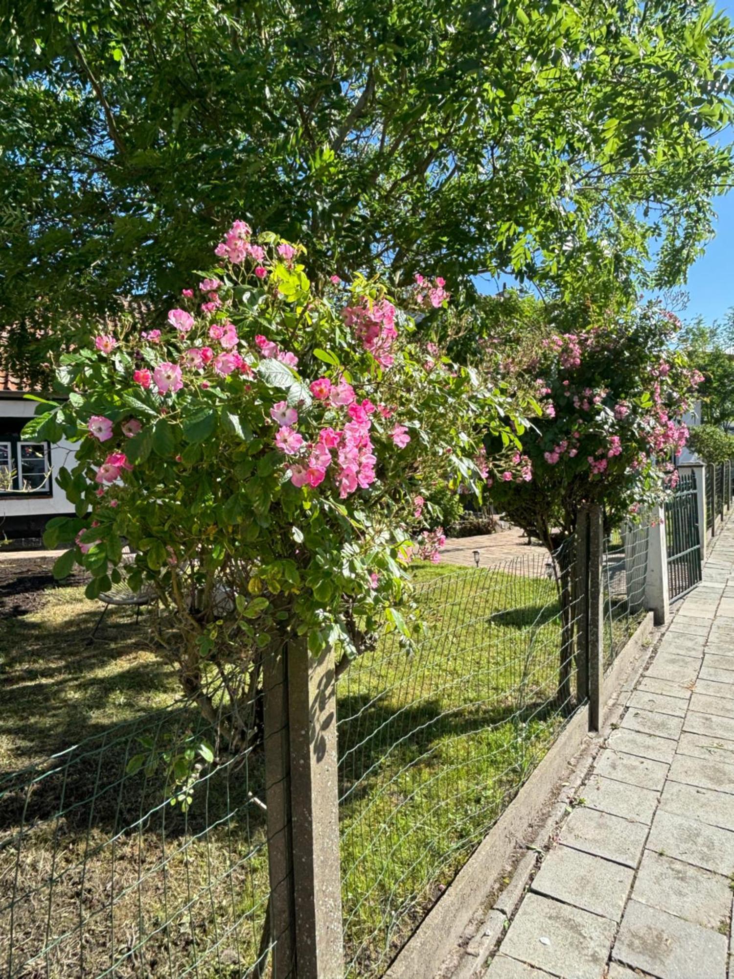 Het Relax Hoeveke Oostende Dış mekan fotoğraf